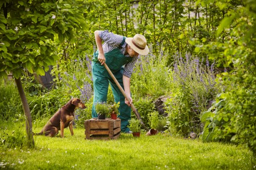 Gardening team assessing a landscaping issue